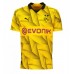 Borussia Dortmund Mats Hummels #15 Voetbalkleding Derde Shirt 2023-24 Korte Mouwen